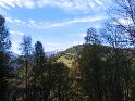 IMG_1117