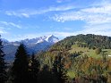 IMG_1118