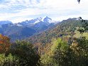 IMG_1133