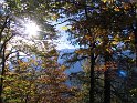IMG_1134