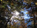 IMG_1135
