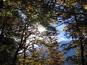 IMG_1136