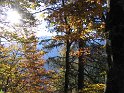 IMG_1137