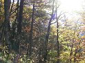 IMG_1138
