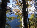 IMG_1139