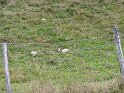 IMG_1173