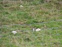 IMG_1175
