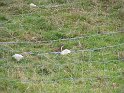 IMG_1176