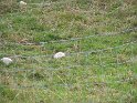 IMG_1177