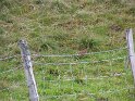 IMG_1178