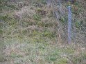 IMG_1179