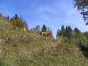 IMG_1188