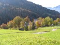 IMG_1198