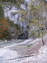 IMG_1206