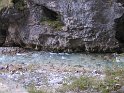 IMG_1208