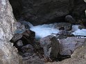 IMG_1216