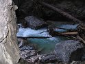 IMG_1217