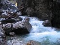 IMG_1220