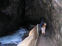 IMG_1221