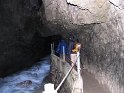 IMG_1223