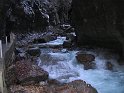IMG_1224