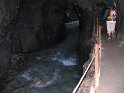 IMG_1226