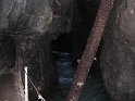 IMG_1228