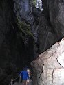 IMG_1229