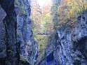IMG_1231