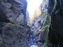 IMG_1232
