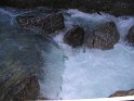 IMG_1235