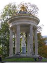 IMG_1253