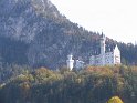 IMG_1257