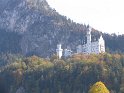 IMG_1259