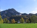 IMG_1263