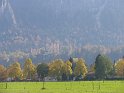 IMG_1271