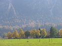 IMG_1274
