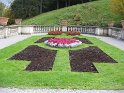 IMG_0011