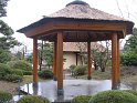IMG_0088