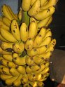 IMG_0001
