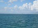 IMG_0004