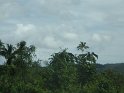 IMG_0032