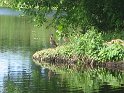 IMG_0034