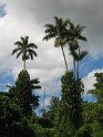 IMG_0040