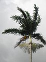 IMG_0041