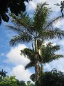 IMG_0042