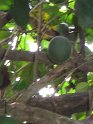 IMG_0045