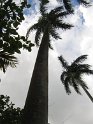 IMG_0046