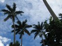 IMG_0047
