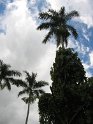 IMG_0048